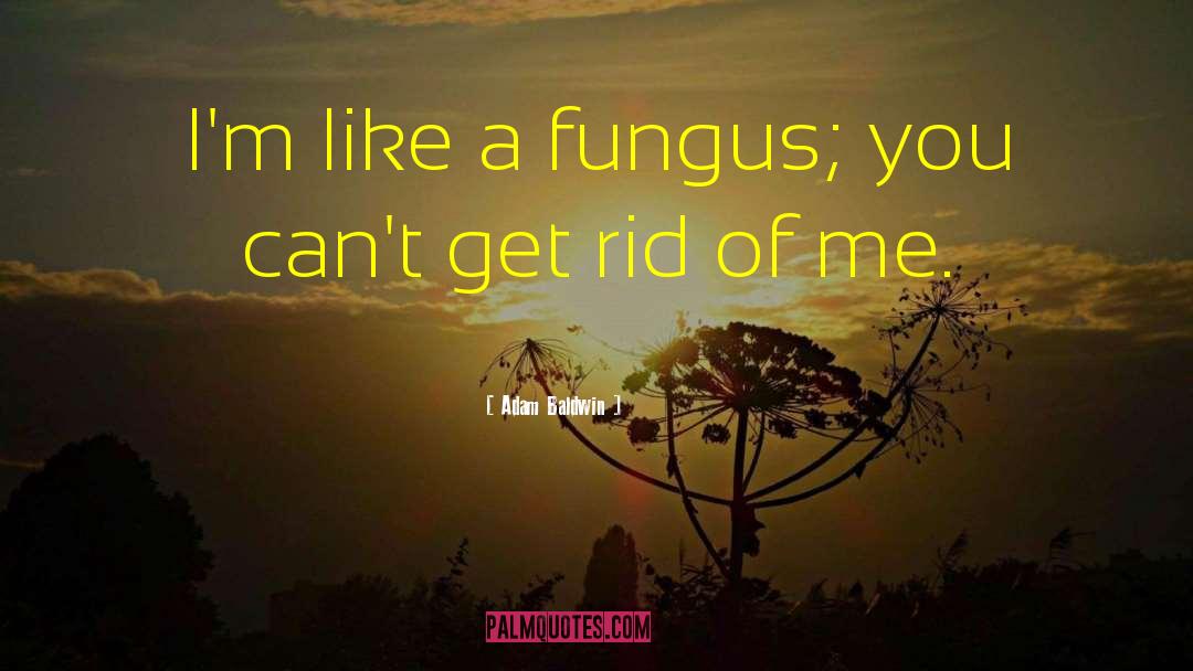 Adam Baldwin Quotes: I'm like a fungus; you