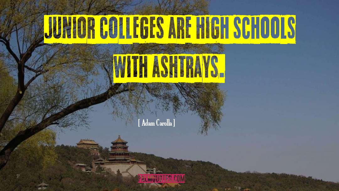 Adam Carolla Quotes: Junior colleges are high schools