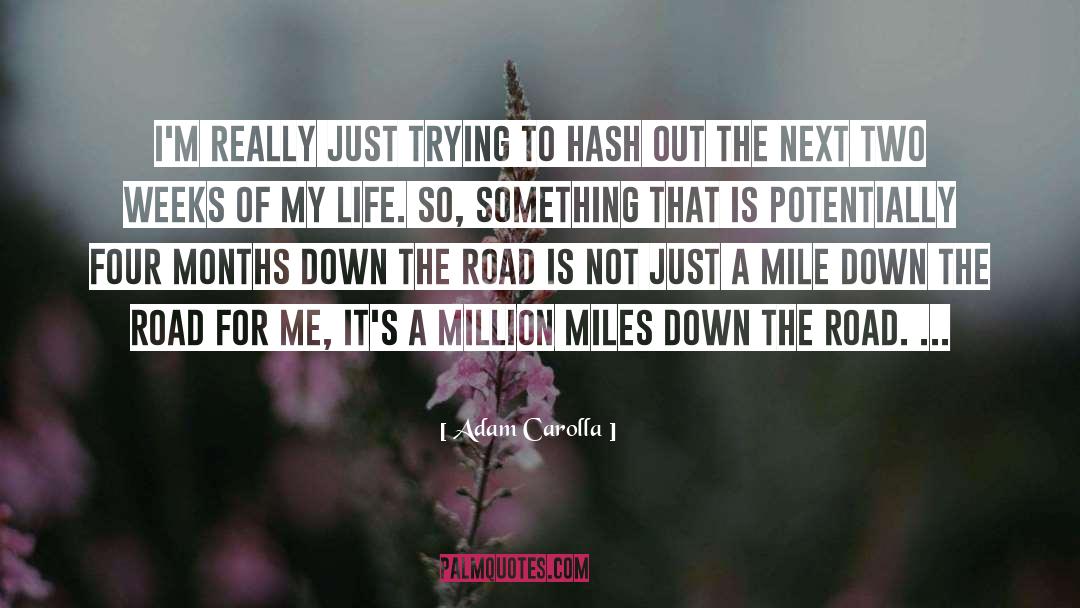 Adam Carolla Quotes: I'm really just trying to