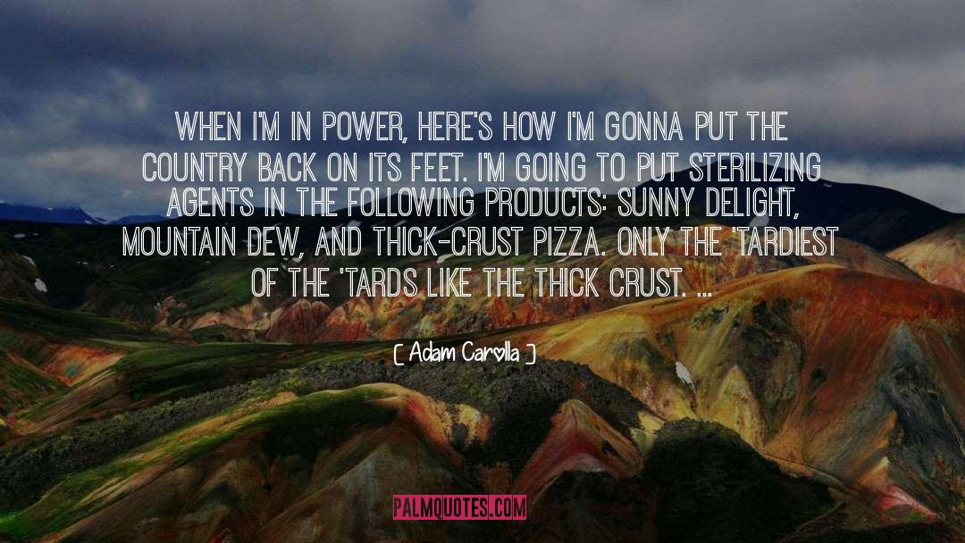 Adam Carolla Quotes: When I'm in power, here's