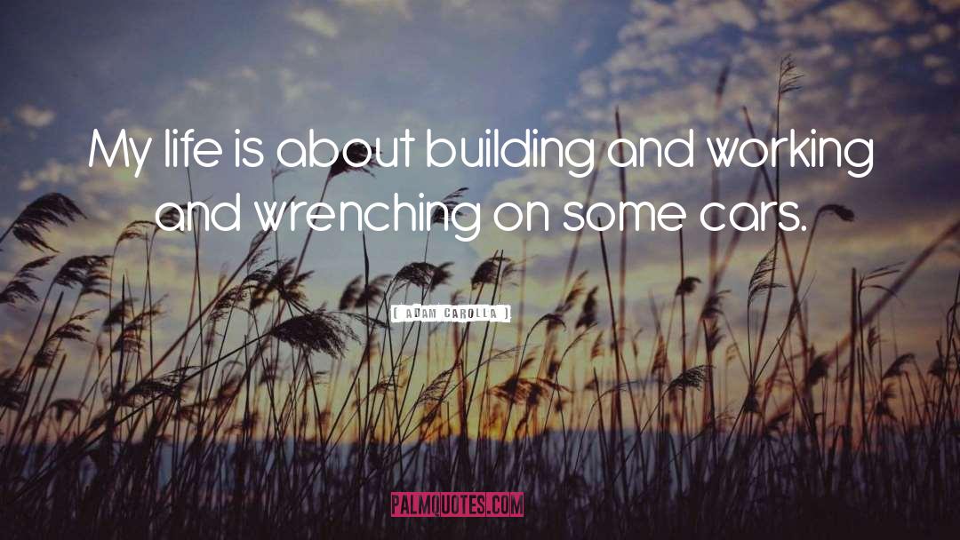 Adam Carolla Quotes: My life is about building