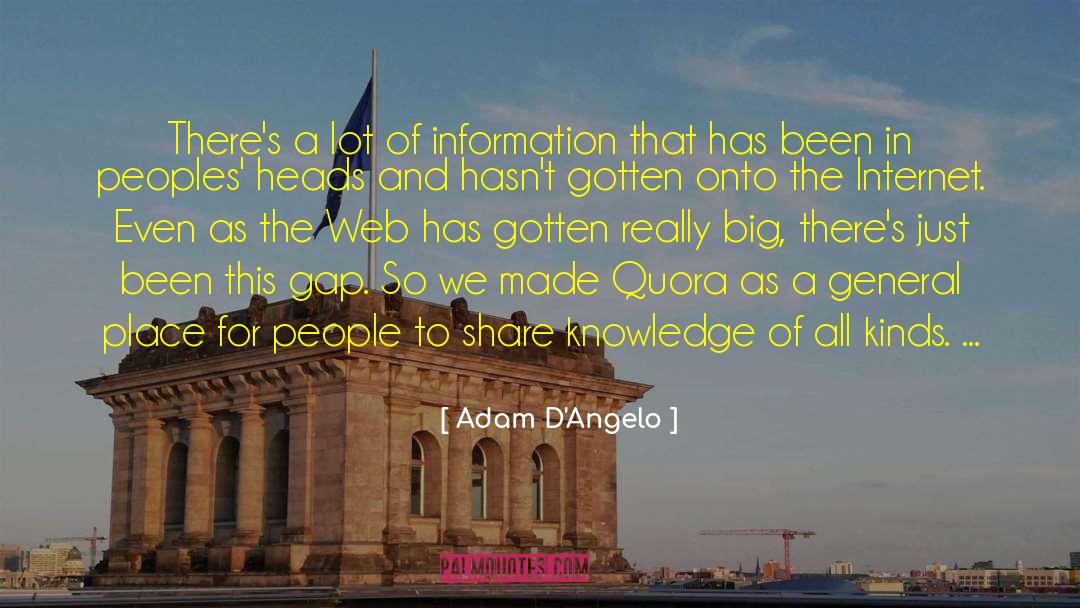 Adam D'Angelo Quotes: There's a lot of information