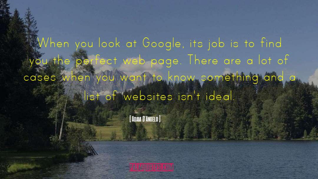 Adam D'Angelo Quotes: When you look at Google,