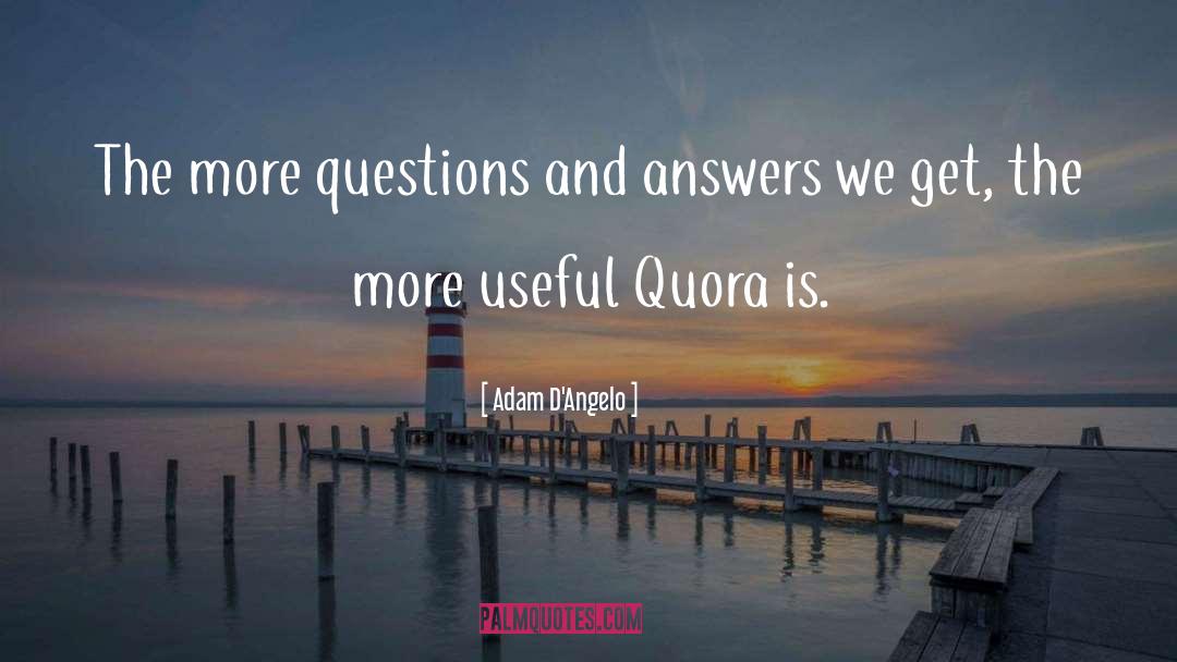 Adam D'Angelo Quotes: The more questions and answers