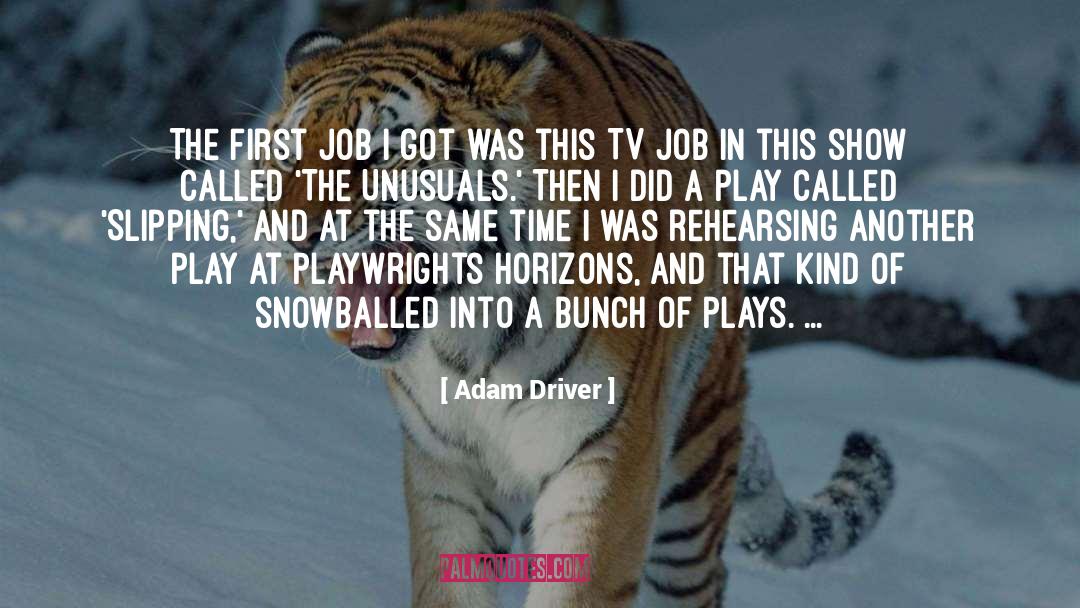 Adam Driver Quotes: The first job I got