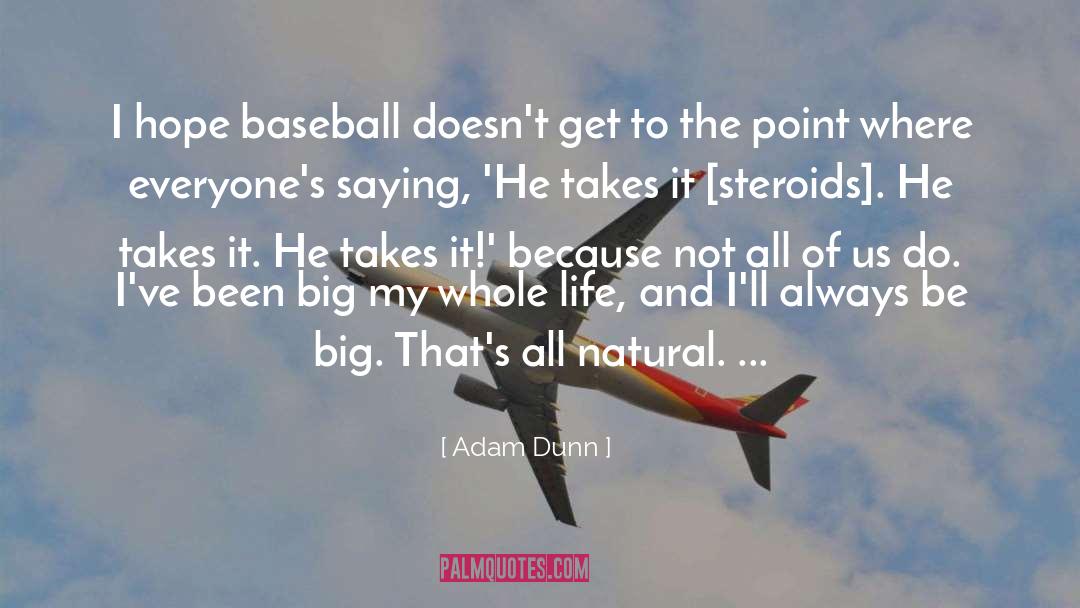 Adam Dunn Quotes: I hope baseball doesn't get