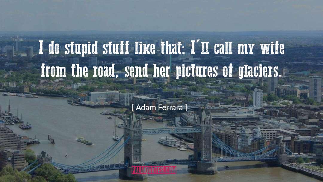 Adam Ferrara Quotes: I do stupid stuff like