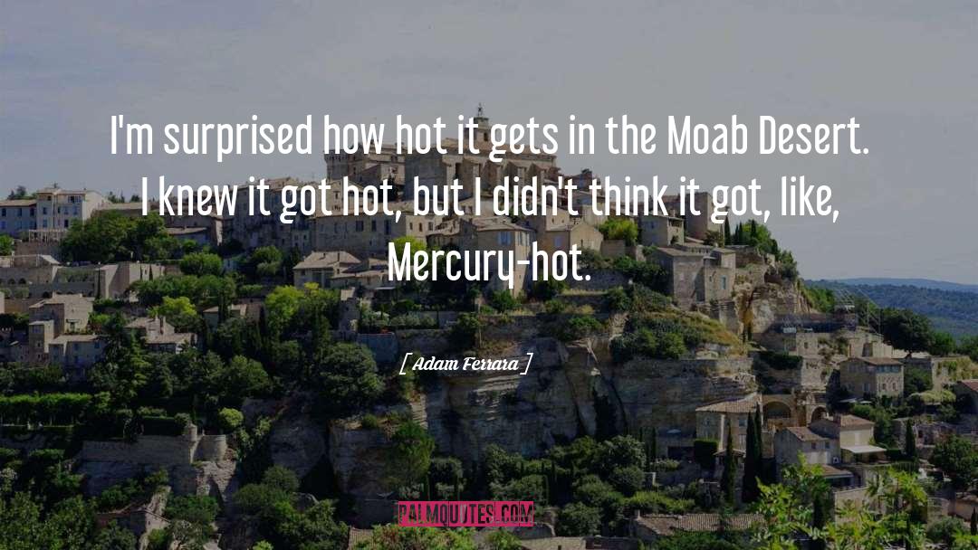 Adam Ferrara Quotes: I'm surprised how hot it