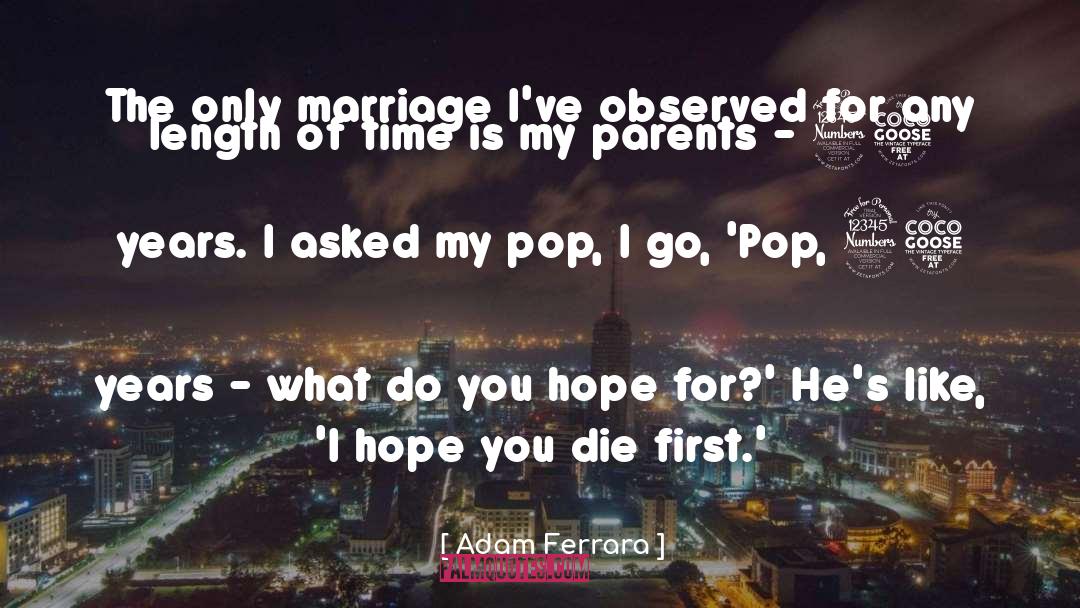 Adam Ferrara Quotes: The only marriage I've observed