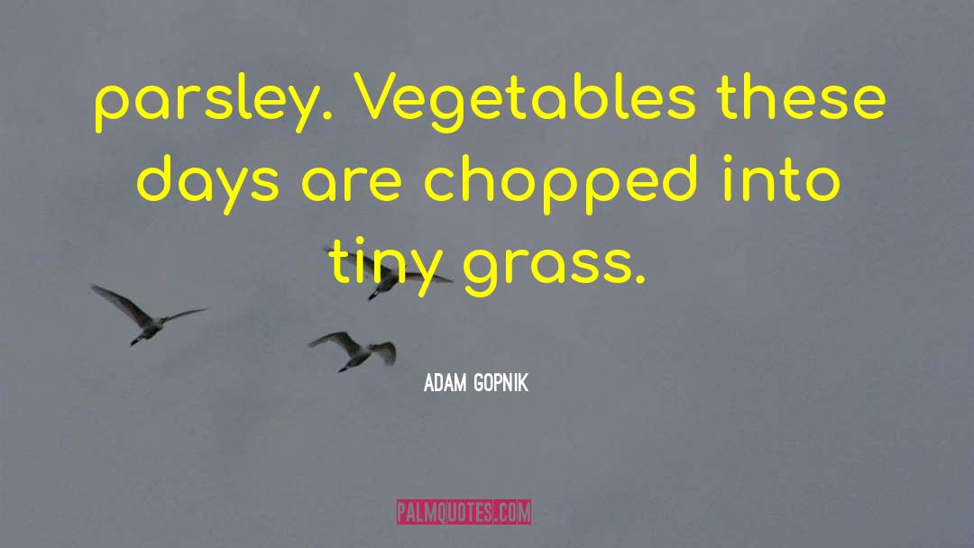 Adam Gopnik Quotes: parsley. Vegetables these days are