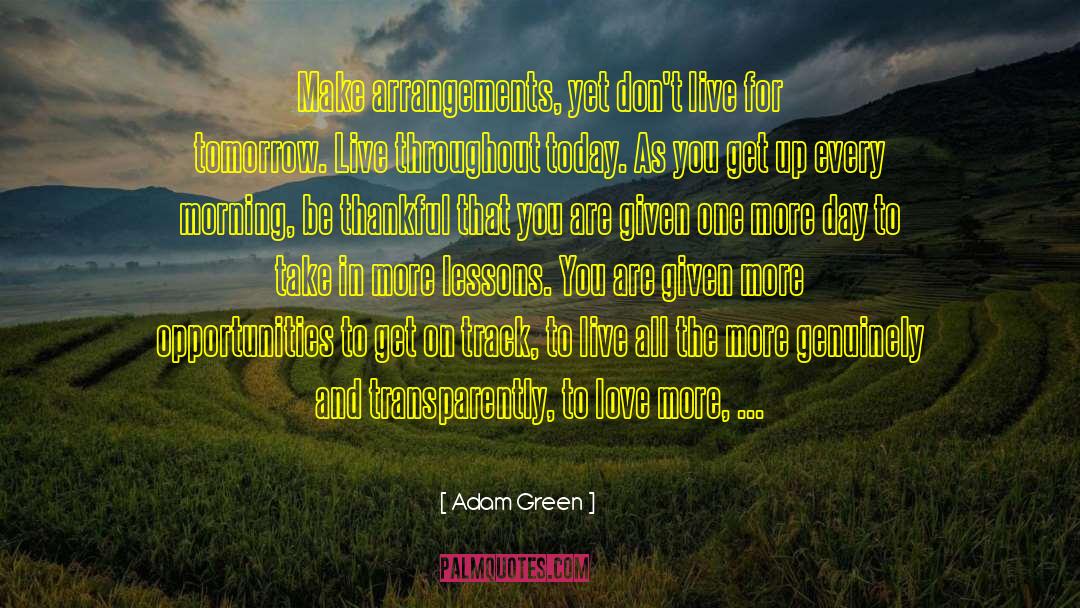 Adam Green Quotes: Make arrangements, yet don't live