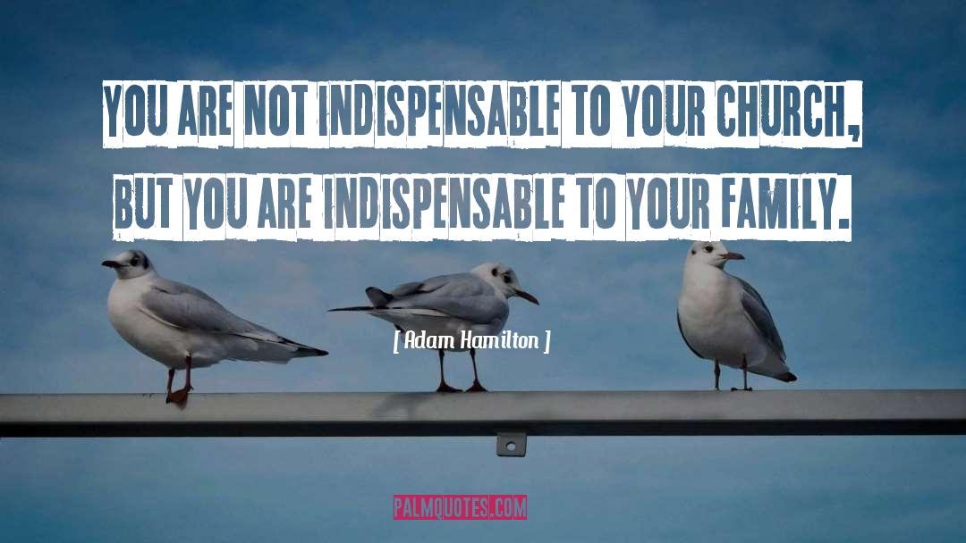 Adam Hamilton Quotes: You are not indispensable to