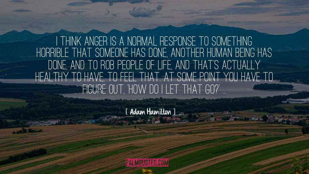 Adam Hamilton Quotes: I think anger is a