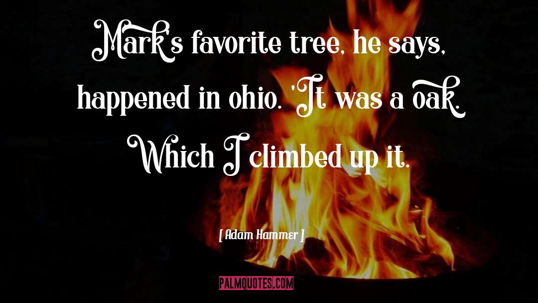 Adam Hammer Quotes: Mark's favorite tree, he says,