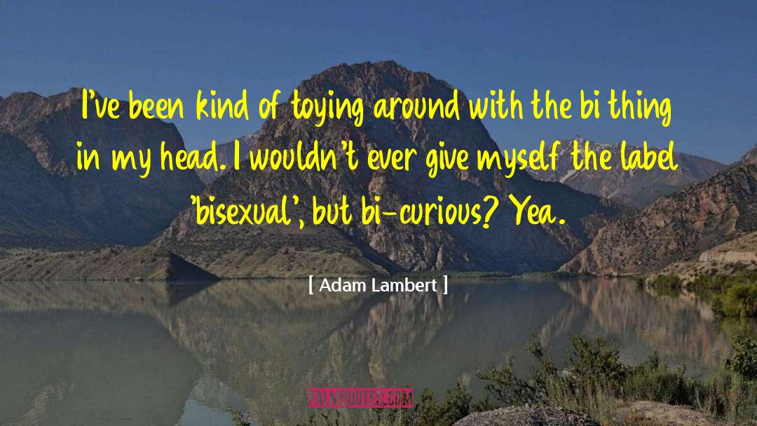 Adam Lambert Quotes: I've been kind of toying