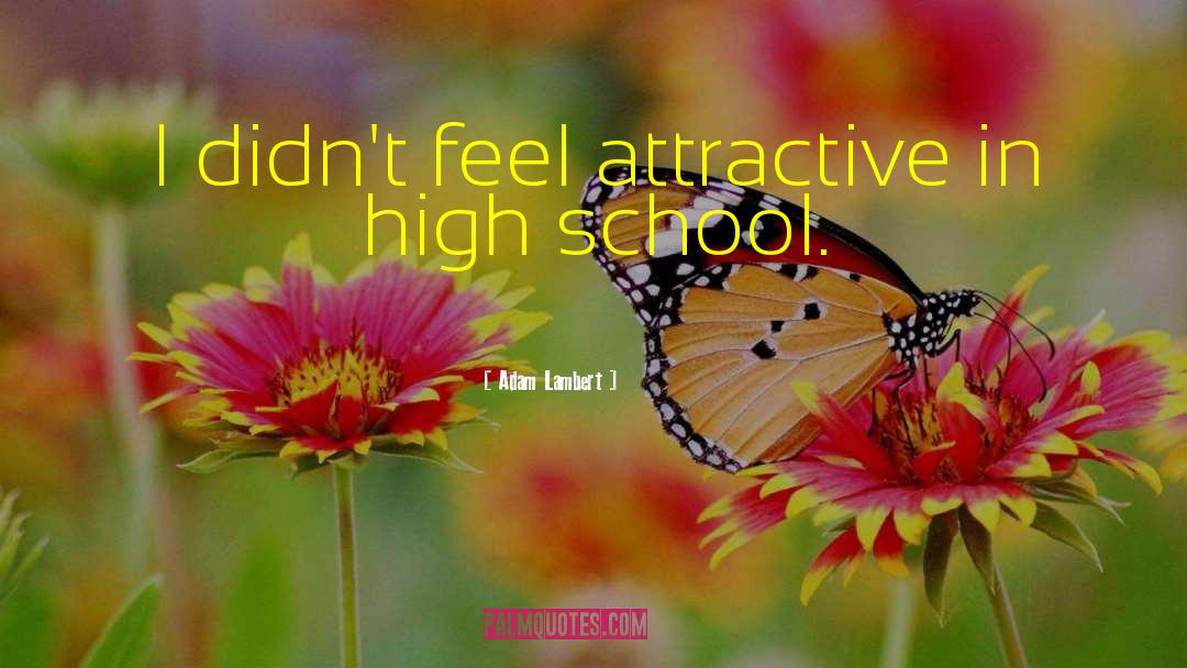 Adam Lambert Quotes: I didn't feel attractive in