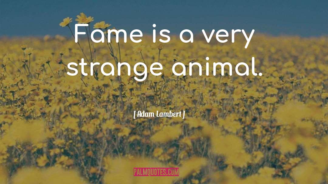 Adam Lambert Quotes: Fame is a very strange