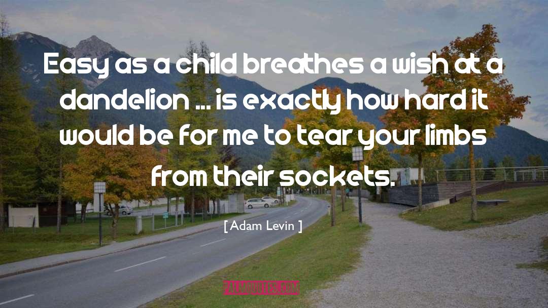 Adam Levin Quotes #1588016
