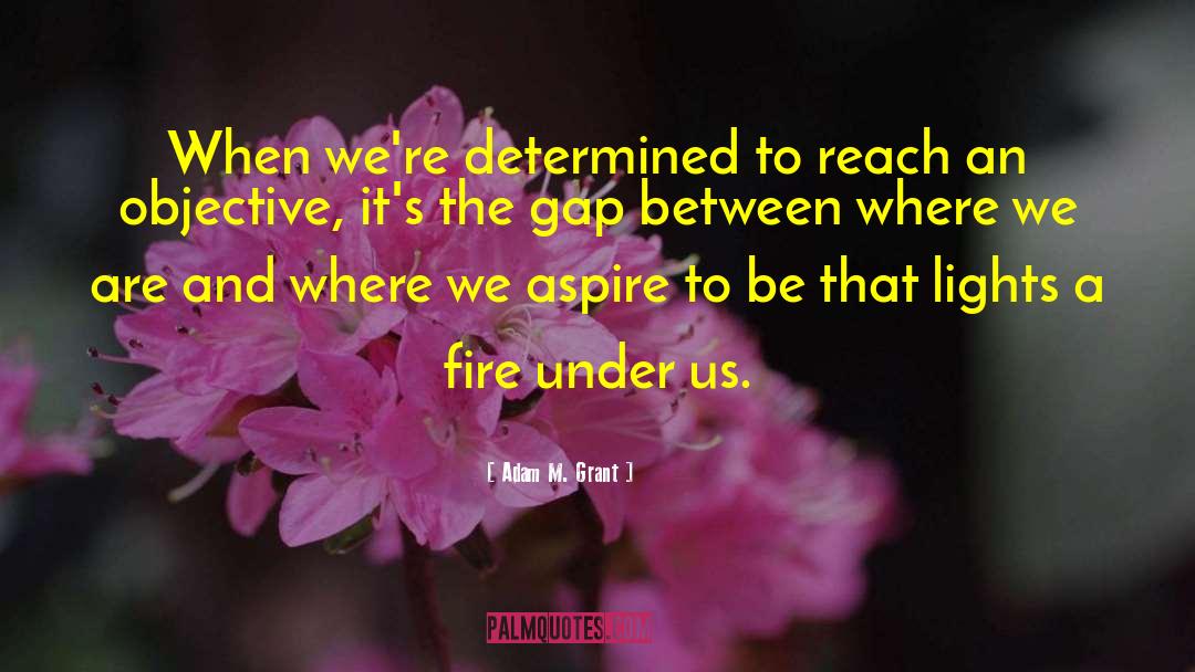 Adam M. Grant Quotes: When we're determined to reach