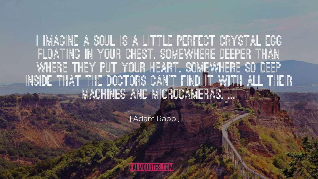 Adam Rapp Quotes: I imagine a soul is