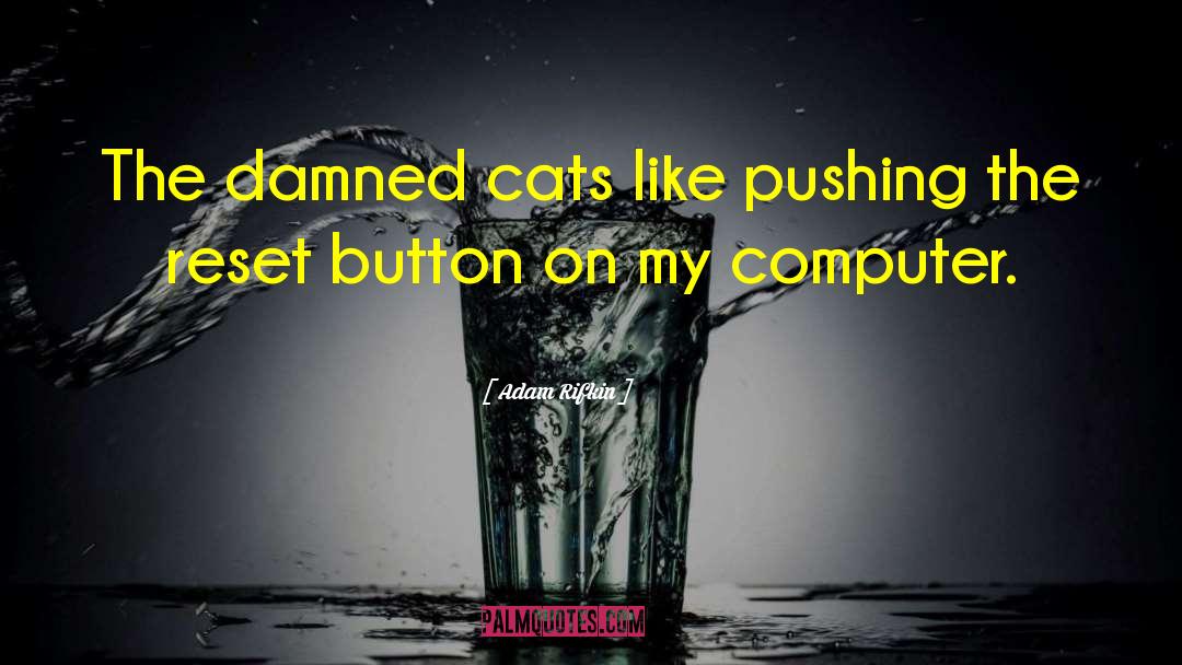 Adam Rifkin Quotes: The damned cats like pushing