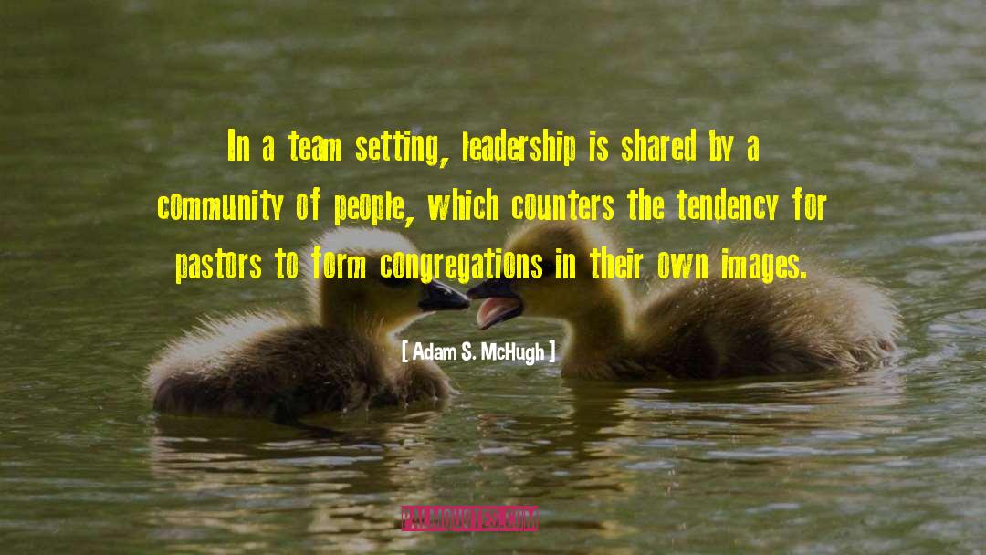 Adam S. McHugh Quotes: In a team setting, leadership