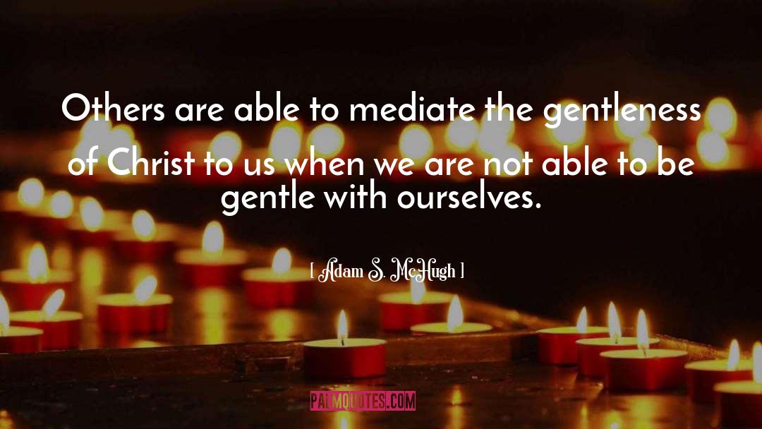 Adam S. McHugh Quotes: Others are able to mediate