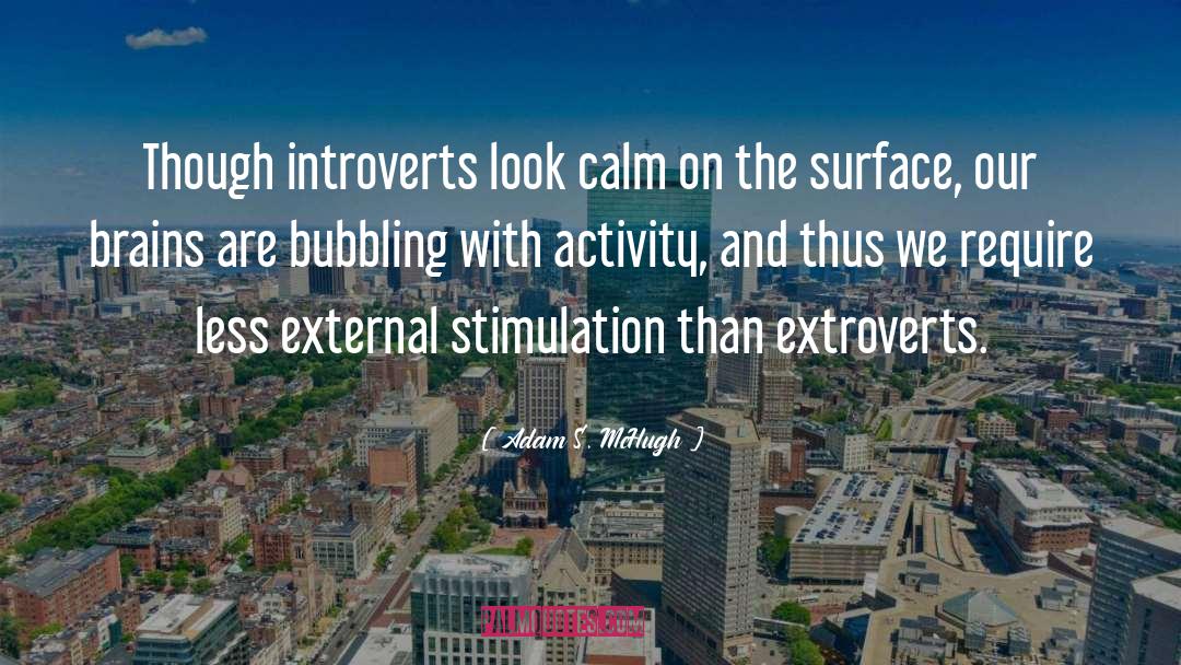 Adam S. McHugh Quotes: Though introverts look calm on