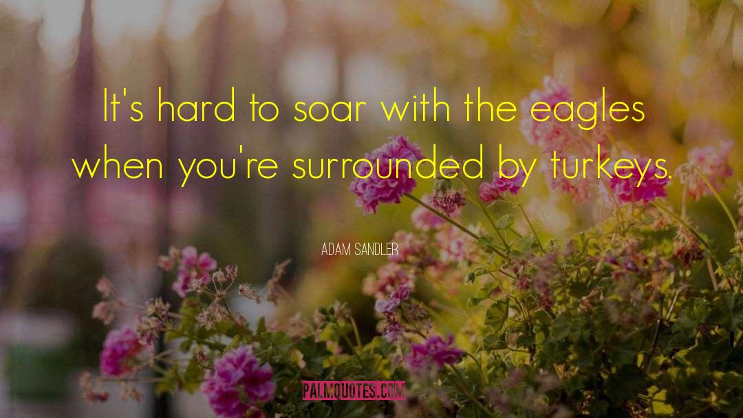 Adam Sandler Quotes: It's hard to soar with