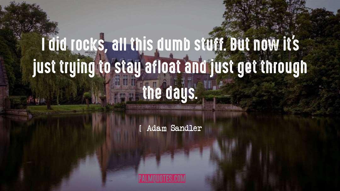 Adam Sandler Quotes: I did rocks, all this