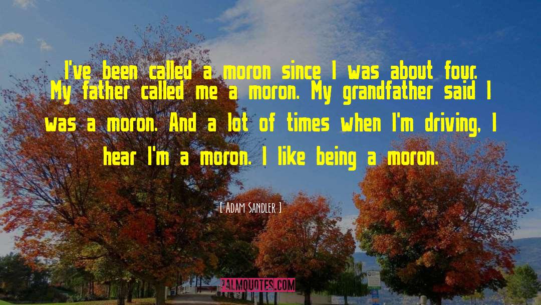 Adam Sandler Quotes: I've been called a moron