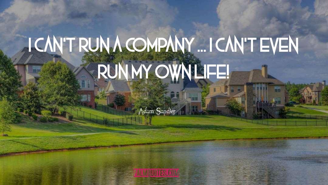 Adam Sandler Quotes: I can't run a company
