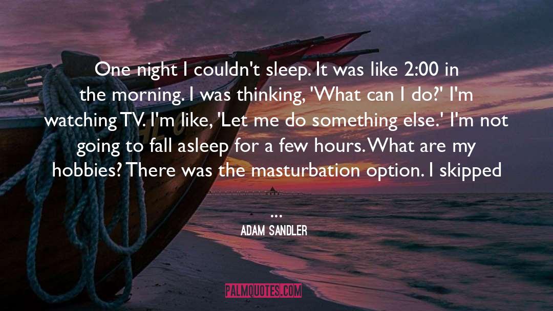 Adam Sandler Quotes: One night I couldn't sleep.