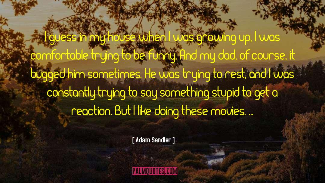 Adam Sandler Quotes: I guess in my house