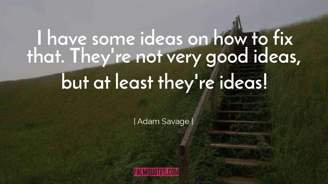 Adam Savage Quotes: I have some ideas on
