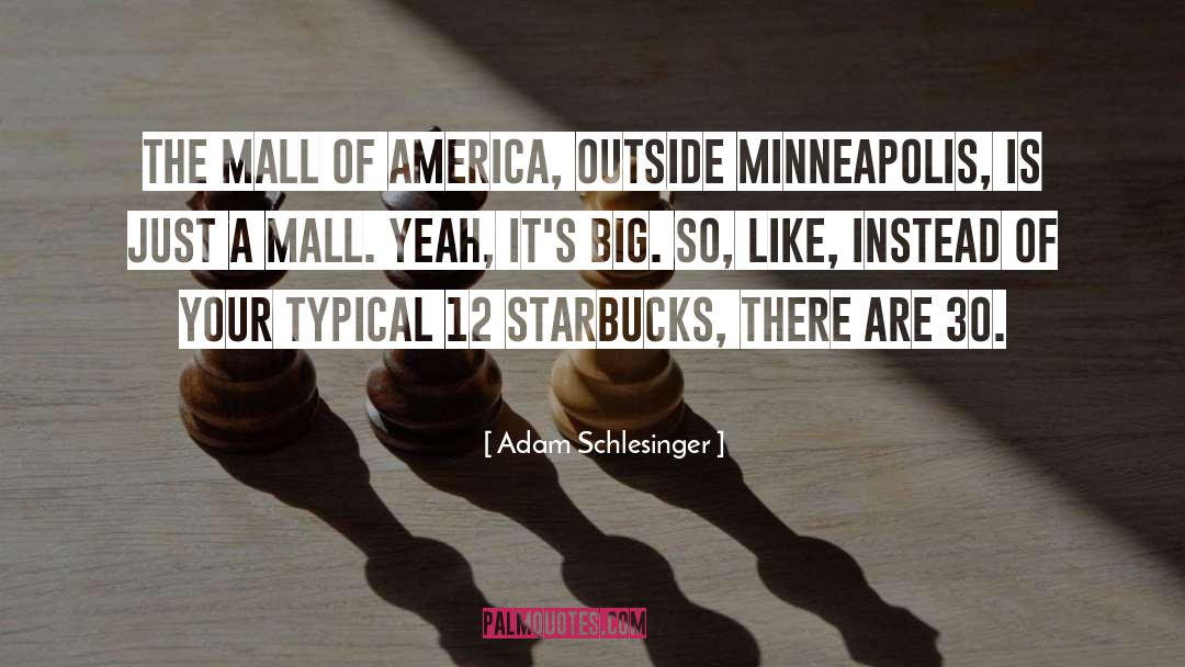 Adam Schlesinger Quotes: The Mall Of America, outside