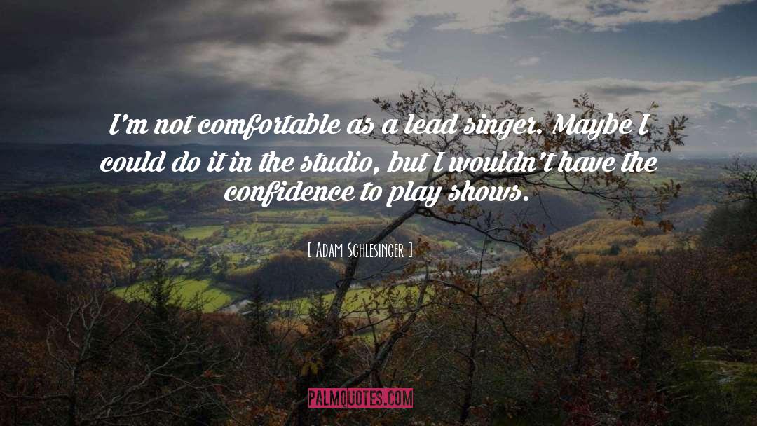 Adam Schlesinger Quotes: I'm not comfortable as a