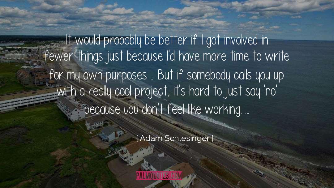 Adam Schlesinger Quotes: It would probably be better