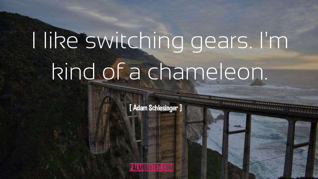 Adam Schlesinger Quotes: I like switching gears. I'm