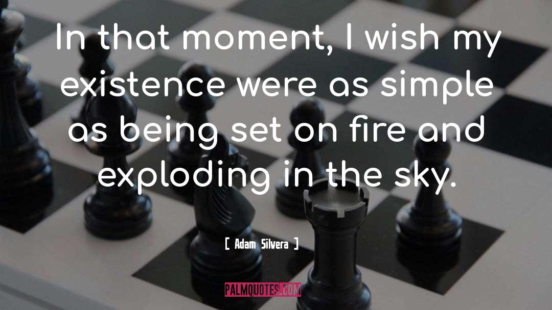 Adam Silvera Quotes: In that moment, I wish