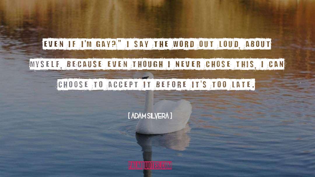 Adam Silvera Quotes: Even if I'm gay?