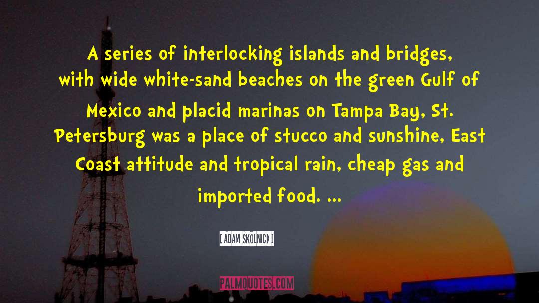 Adam Skolnick Quotes: A series of interlocking islands