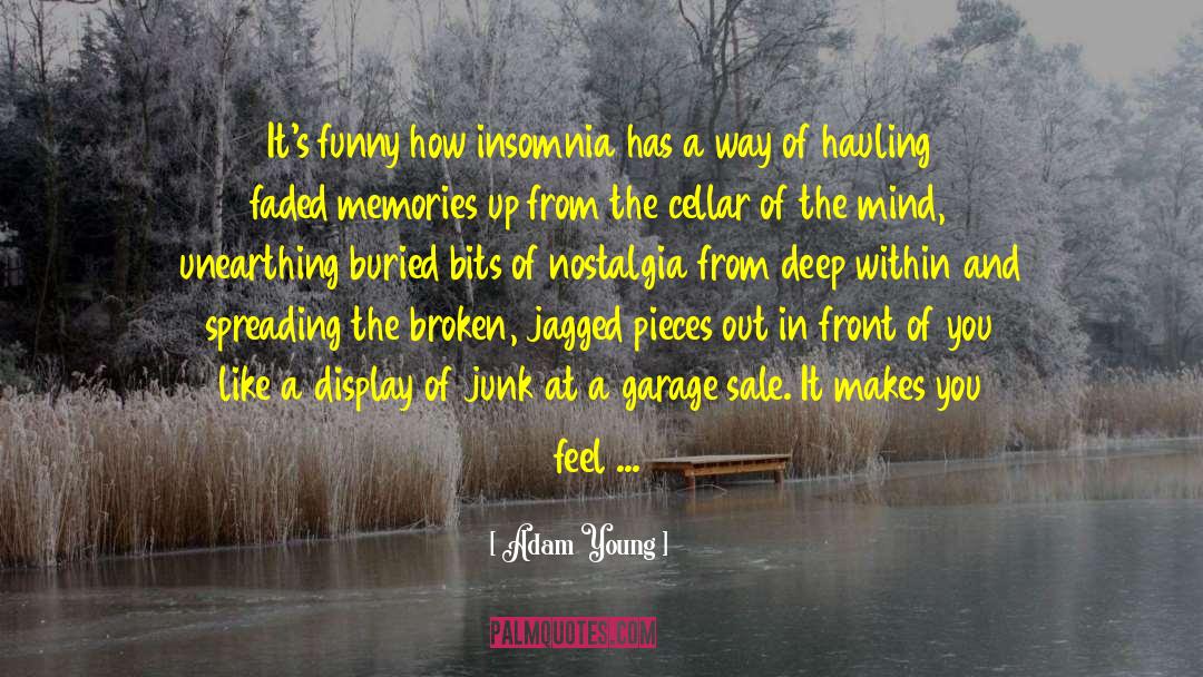 Adam Young Quotes: It's funny how insomnia has