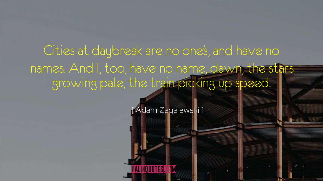 Adam Zagajewski Quotes: Cities at daybreak are no