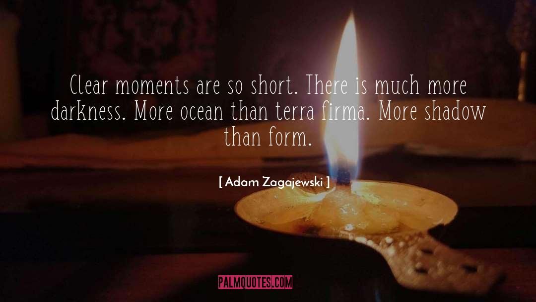 Adam Zagajewski Quotes: Clear moments are so short.<br>