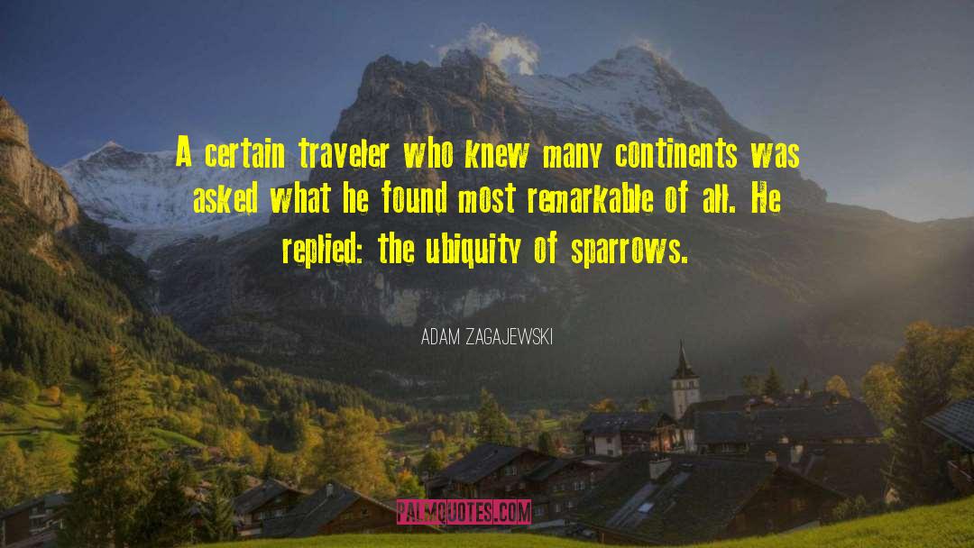 Adam Zagajewski Quotes: A certain traveler who knew