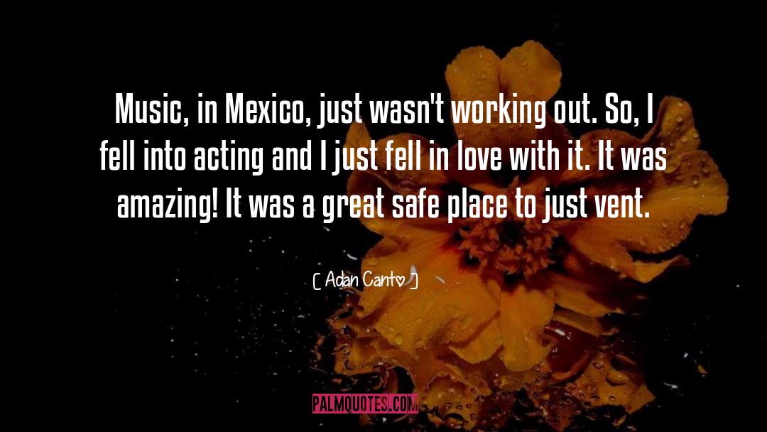 Adan Canto Quotes: Music, in Mexico, just wasn't