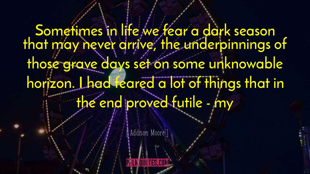 Addison Moore Quotes: Sometimes in life we fear