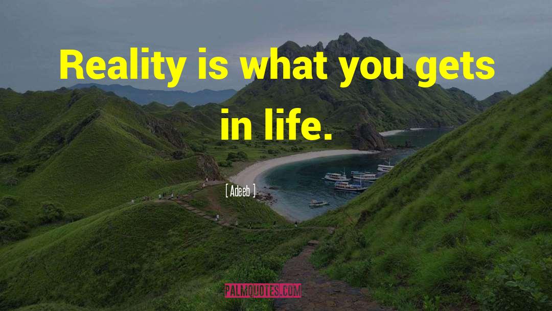 Adeeb Quotes: Reality is what you gets