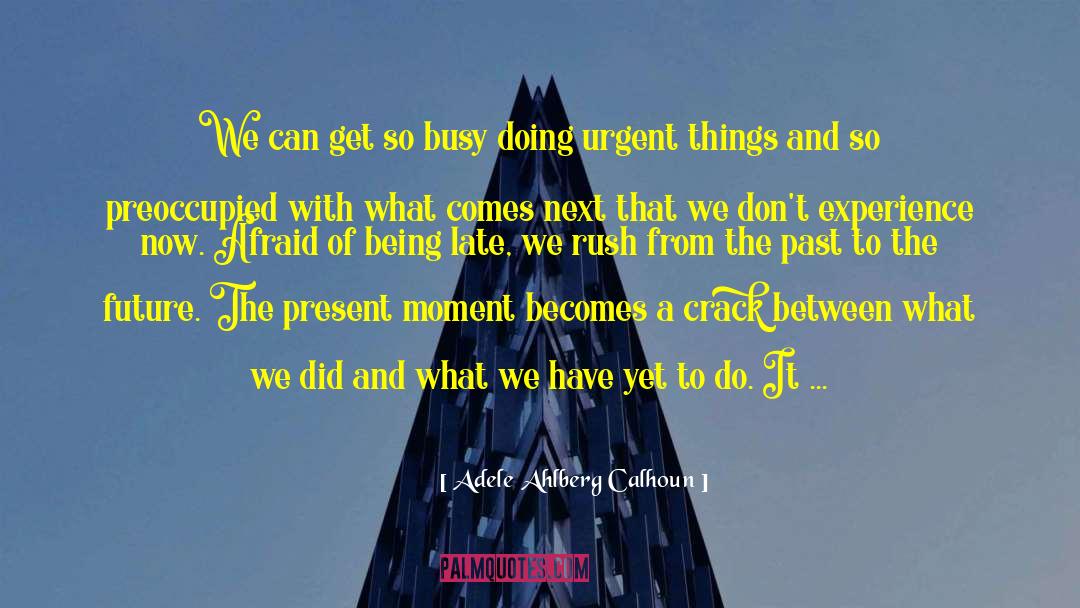 Adele Ahlberg Calhoun Quotes: We can get so busy